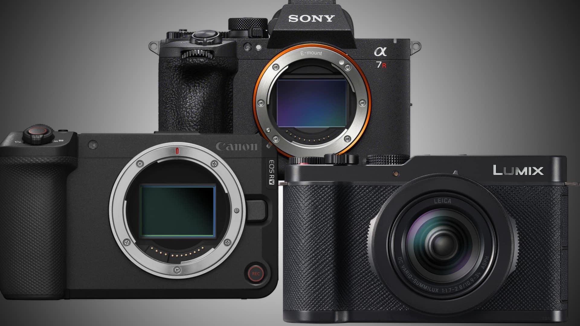 Canon EOS R6 V vs Sony A7R VI vs Panasonic Lumix L10